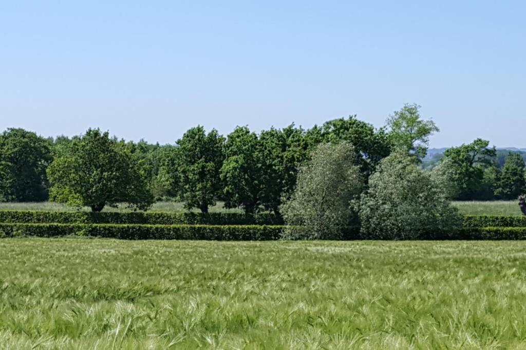 Gite Du Bocage Buysscheure Buitenkant foto